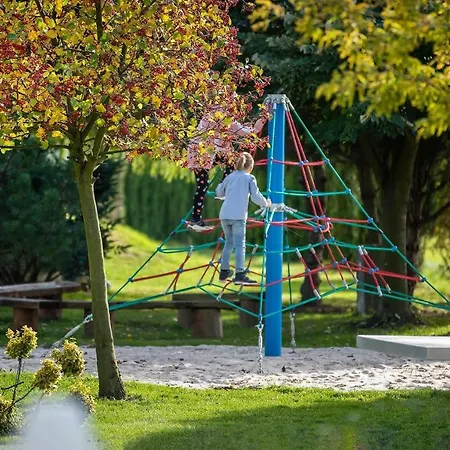 The Amber Business &