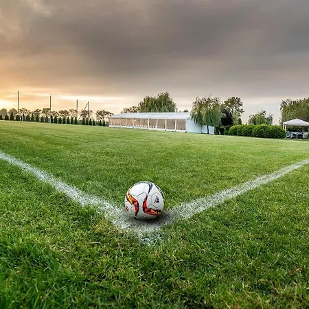 The Amber Business &