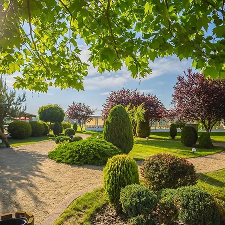 The Amber Business &