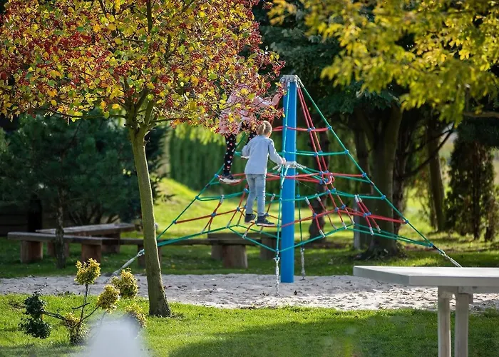 The Amber Business &