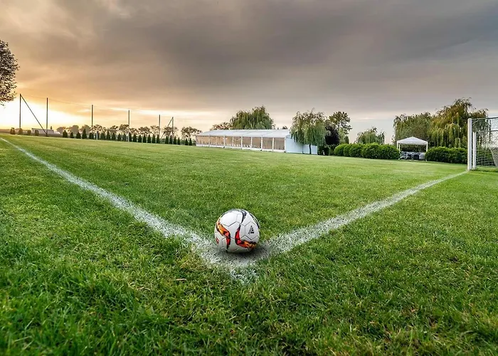 The Amber Business &