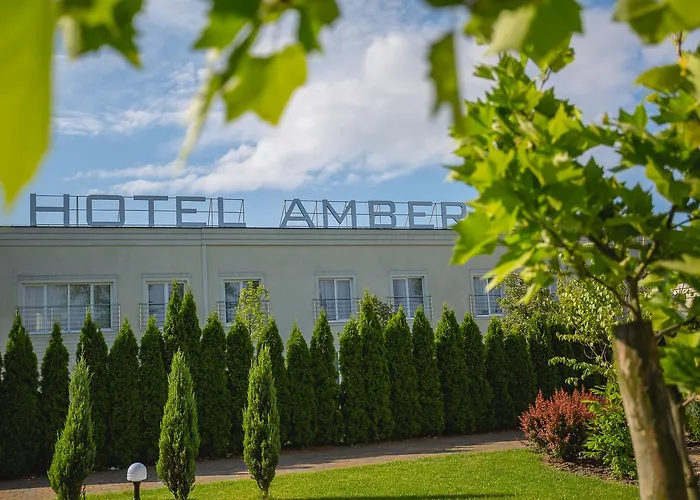 Hotel The Amber Business &