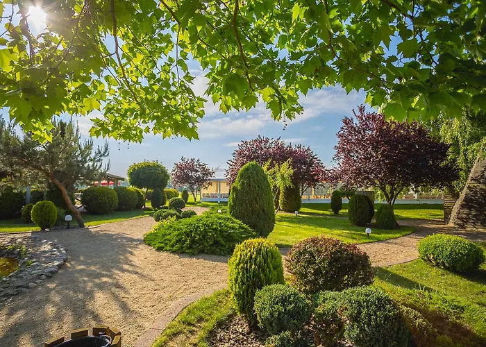 The Amber Business &